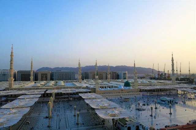 Business Setup in Oman | Company Formation in Oman | Feamish Business Solutions